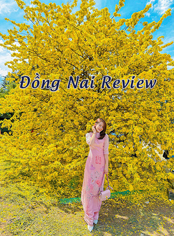 Project Đồng Nai Review