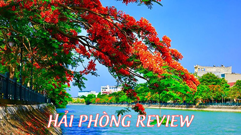 Hải Phòng Review